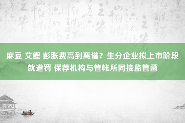 麻豆 艾鲤 彭胀费高到离谱？生分企业拟上市阶段就遭罚 保荐机构与管帐所同接监管函