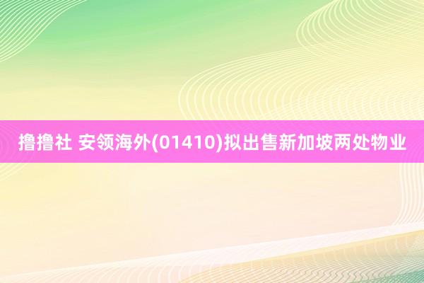 撸撸社 安领海外(01410)拟出售新加坡两处物业