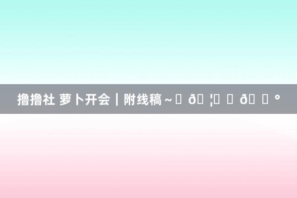 撸撸社 萝卜开会｜附线稿～✨🦁️🐰