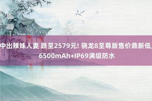 中出辣妹人妻 跌至2579元! 骁龙8至尊版售价鼎新低， 6500mAh+IP69满级防水