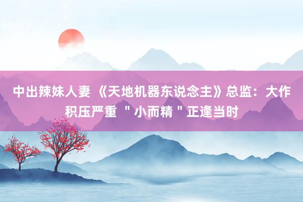 中出辣妹人妻 《天地机器东说念主》总监：大作积压严重 ＂小而精＂正逢当时