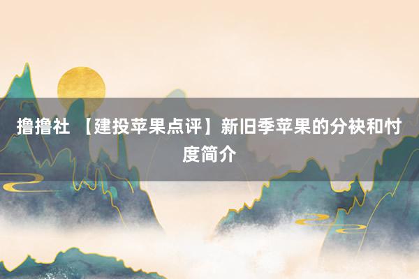 撸撸社 【建投苹果点评】新旧季苹果的分袂和忖度简介