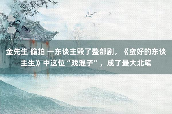 金先生 偷拍 一东谈主毁了整部剧，《蛮好的东谈主生》中这位“戏混子”，成了最大北笔
