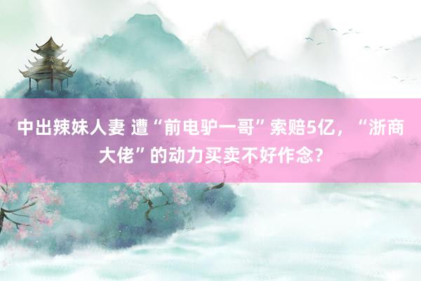 中出辣妹人妻 遭“前电驴一哥”索赔5亿，“浙商大佬”的动力买
