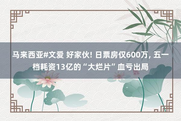 马来西亚#文爱 好家伙! 日票房仅600万, 五一档耗资13